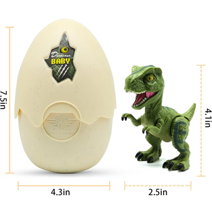 Crafted™ Dinosaur Egg