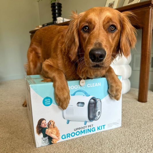 Pet Grooming Kit