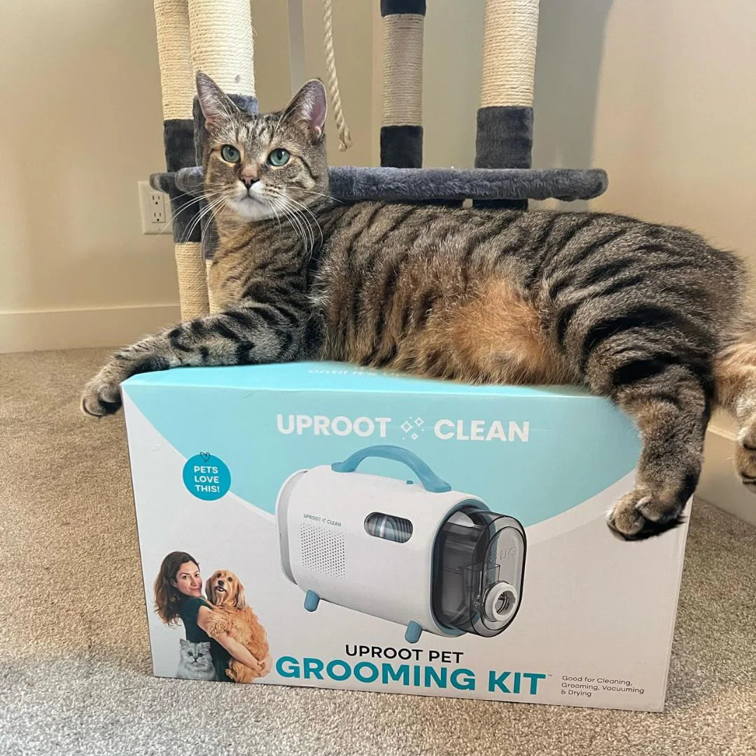 Pet Grooming Kit